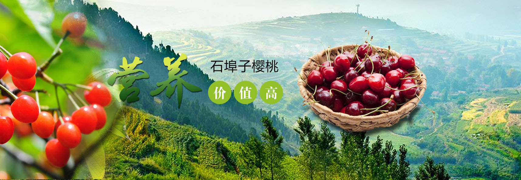 ued国际官网中国