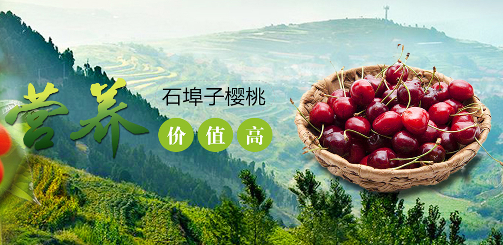 ued国际官网中国